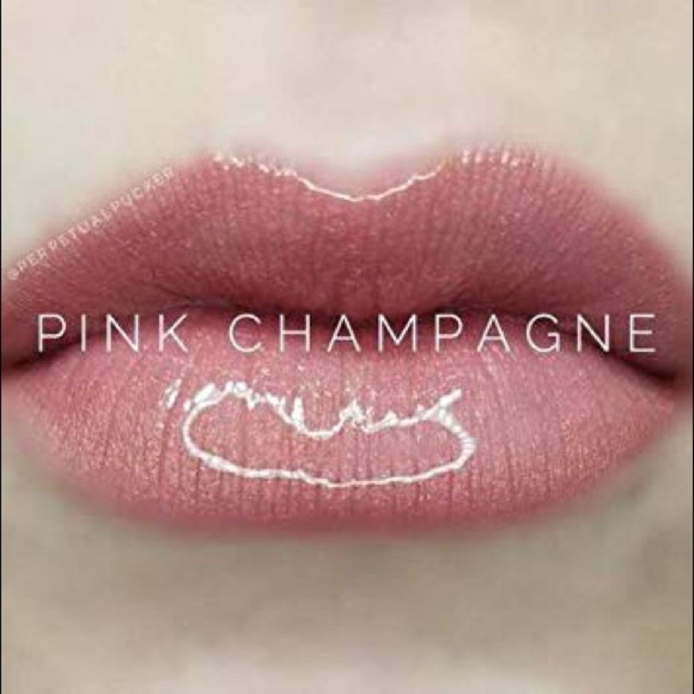 Sealed and NEW LipSense in Pink Champagne